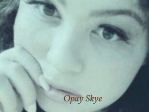 Opay_Skye