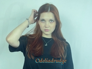 Odeliadrudge