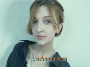 Odelinagarfield