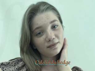 Odelindahedge