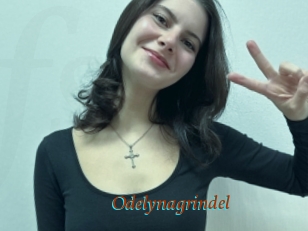 Odelynagrindel