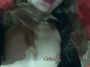 Orhid