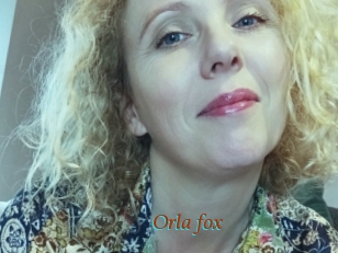 Orla_fox