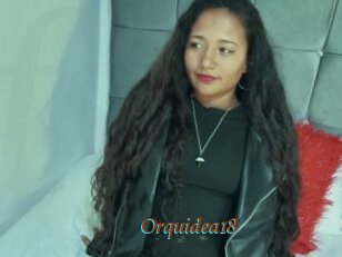 Orquidea18