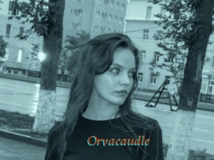 Orvacaudle