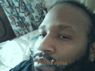 PalmVagina