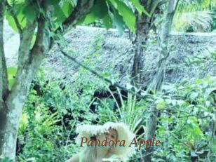 Pandora_Apple