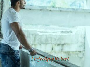 PerfectguyRobert