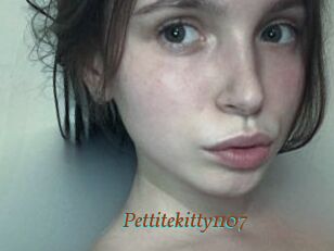 Pettitekitty1107