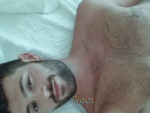 Pj001