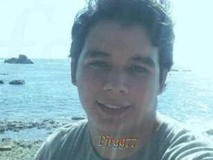 Pjrgg77