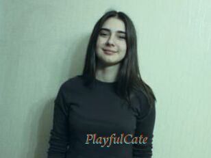 PlayfulCate