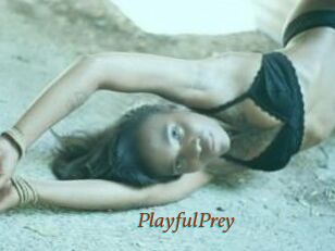 PlayfulPrey
