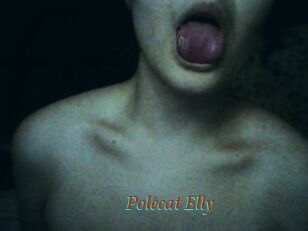 Polecat_Elly