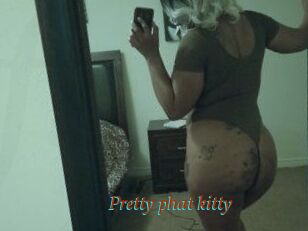 Pretty_phat_kitty