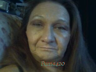 Puma420