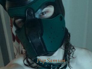 Pup_Samson
