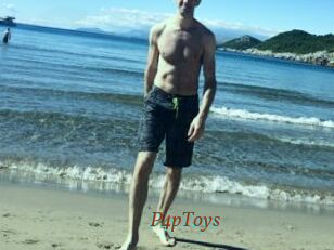 P4pToys