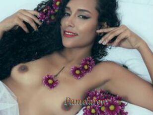 Pamelarey