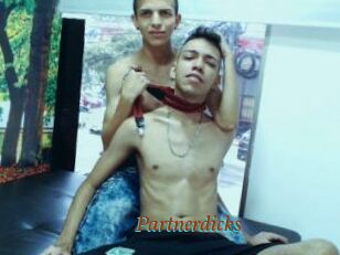 Partnerdicks