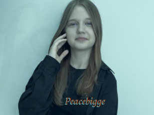 Peacebigge