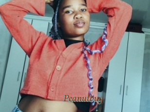 Peanutbug