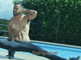 Pedrogarzon