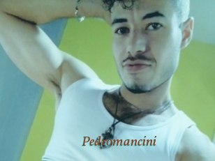 Pedromancini
