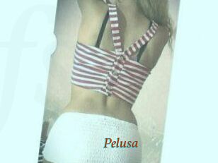 Pelusa