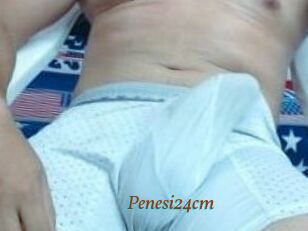 Penesi24cm