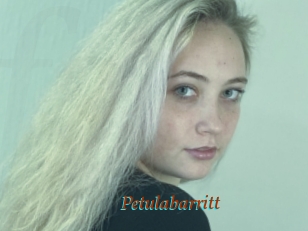 Petulabarritt