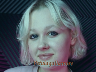 Petulagallamore