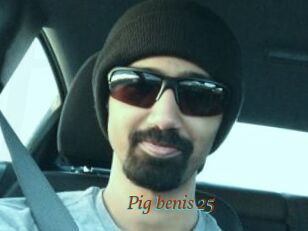 Pig_benis_25