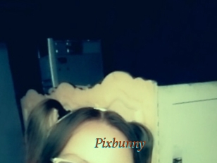 Pixbunny