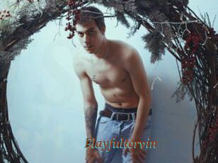 Playfultorvin