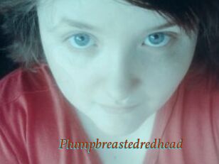 Plumpbreastedredhead