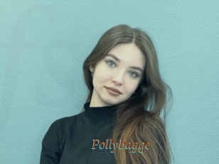 Pollybagge