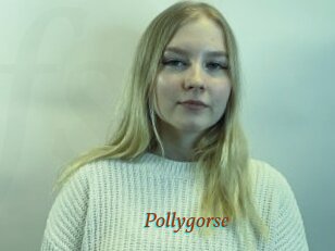 Pollygorse