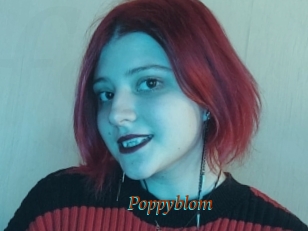 Poppyblom