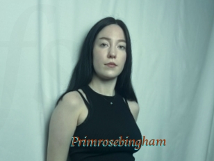 Primrosebingham