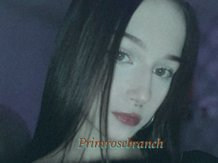 Primrosebranch
