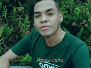 Prince_cobra