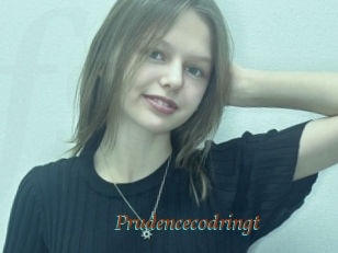 Prudencecodringt