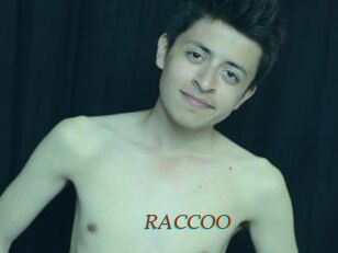 RACCOO