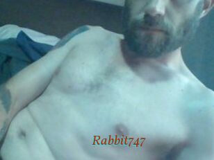 Rabbit747
