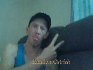 RandomOstrich