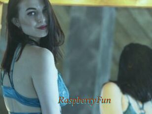 RaspberryFun