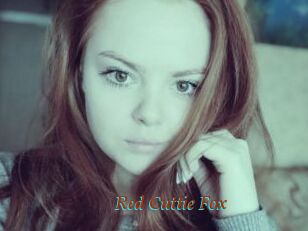 Red_Cuttie_Fox
