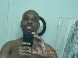 Rodney_Rabbit