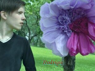 Rodrigie